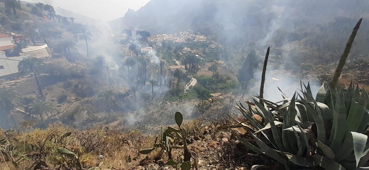 Incendio forestal en Fataga Incendio forestal en Fataga