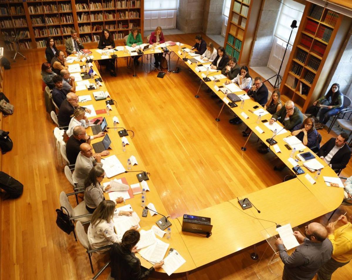 Pleno municipal celebrado en el Consello da Cultura Galega. | ANTONIO HERNÁNDEZ