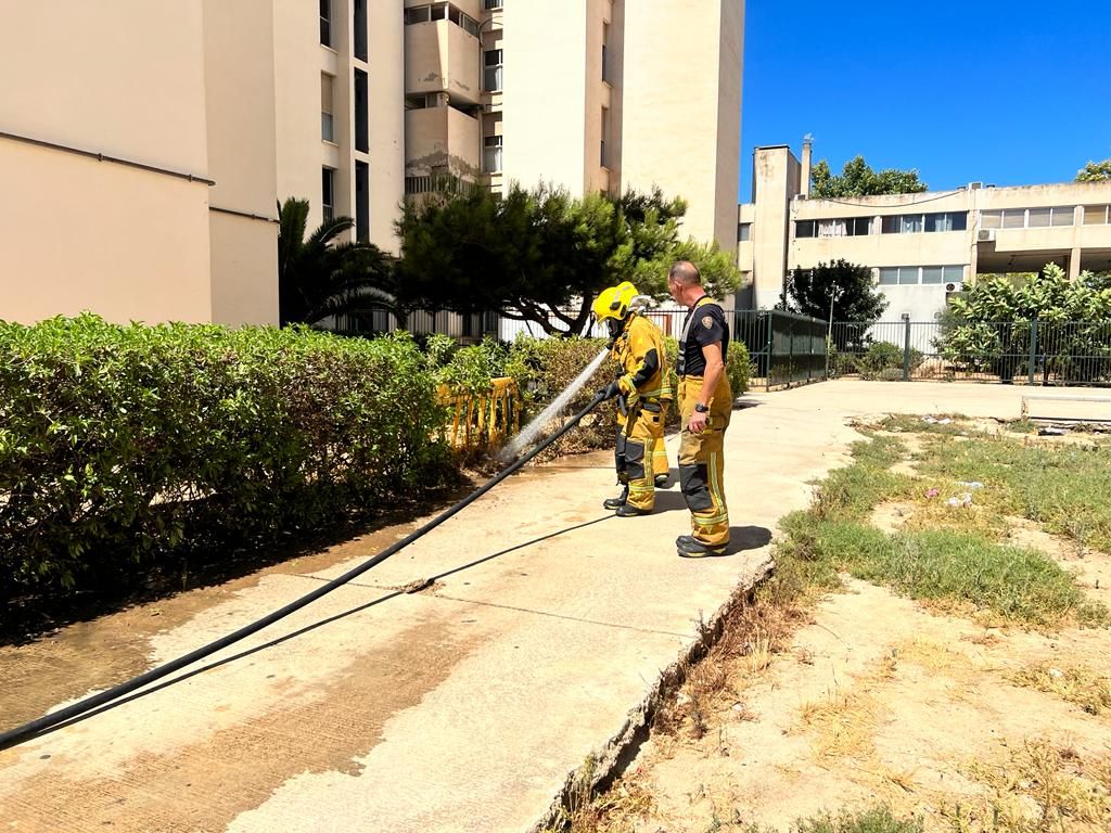 Oleada de incendios intencionados de contenedores en Palma