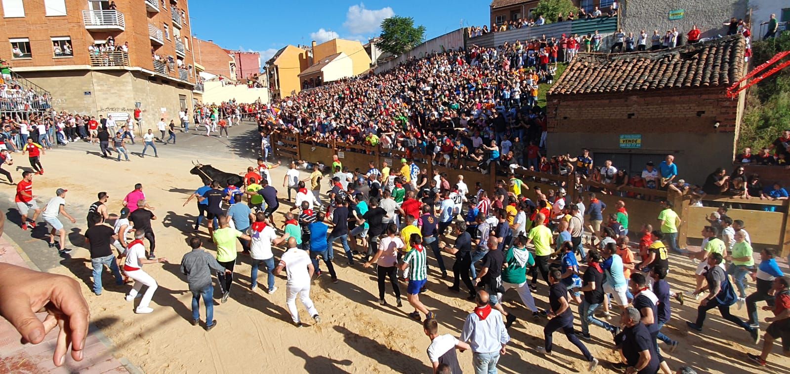 Fiestas del Toro en Benavente: La carrera del torito Belador en imágenes