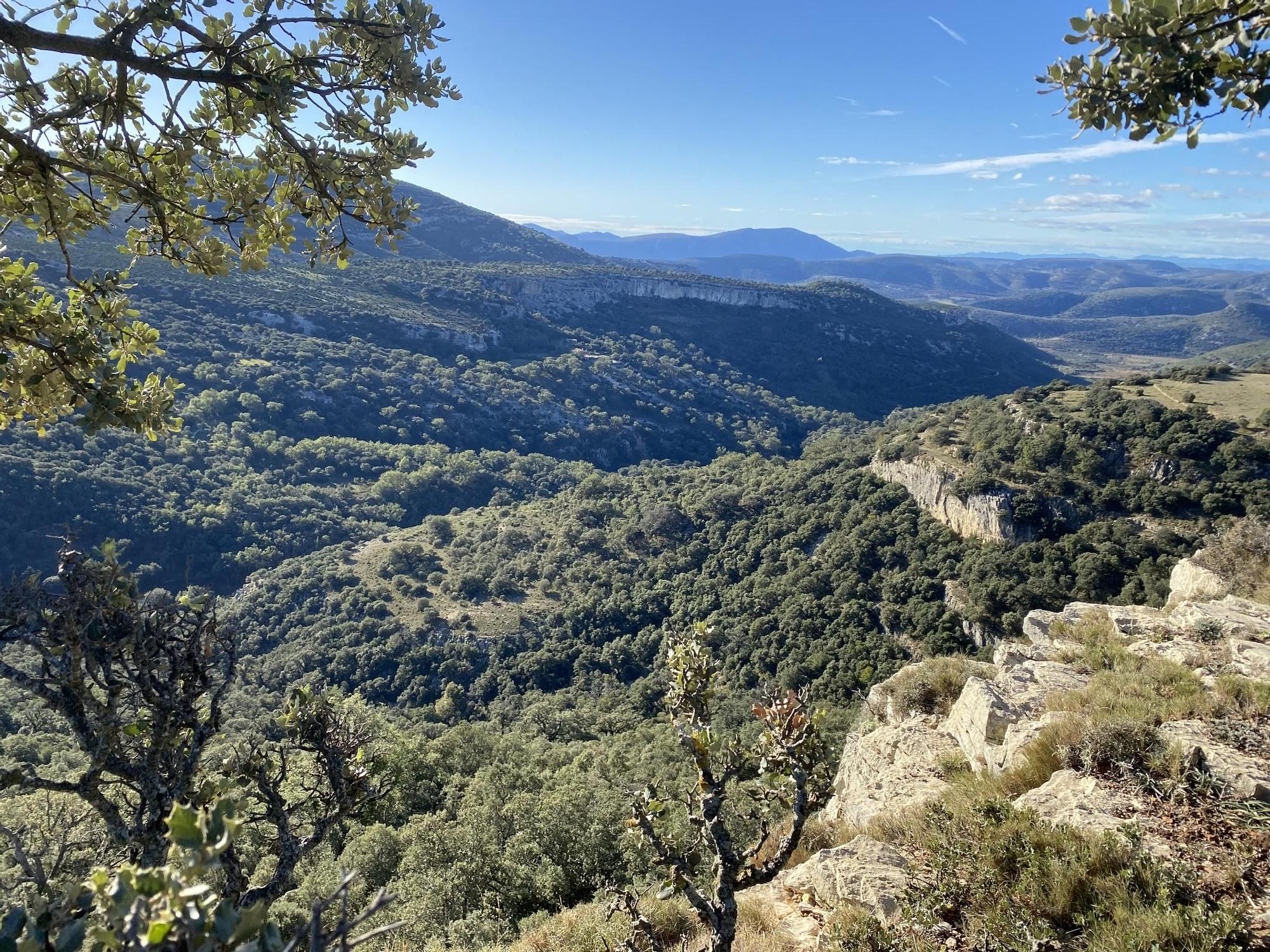 Las mejores imágenes del Barranc dels Horts, un tesoro natural en el corazón de Castellón