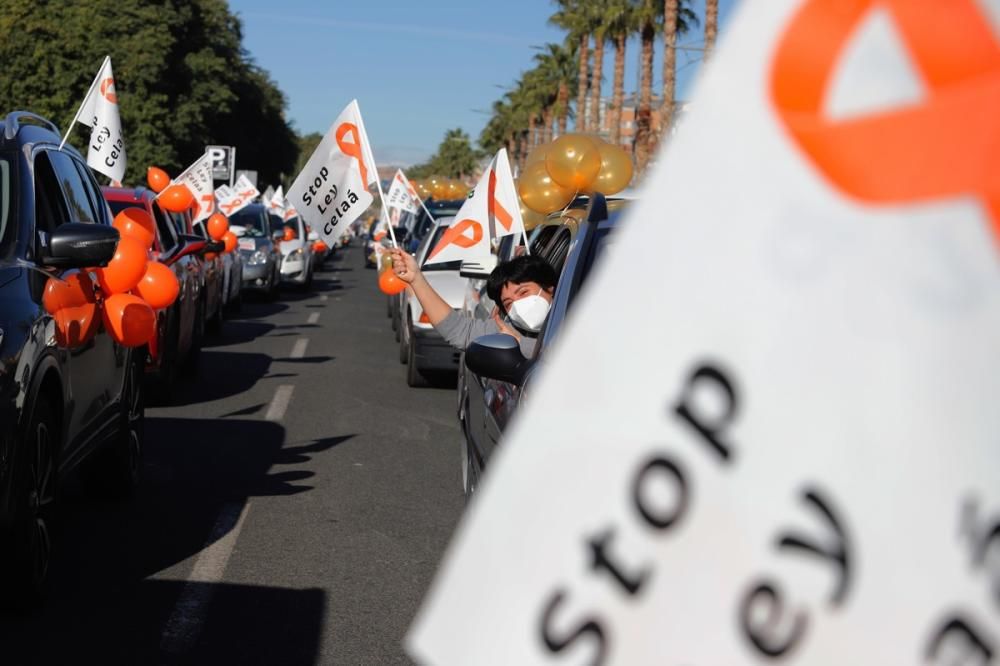 El centro de Murcia vuelve a llenarse de vehículos para protestar contra la Ley Celaá