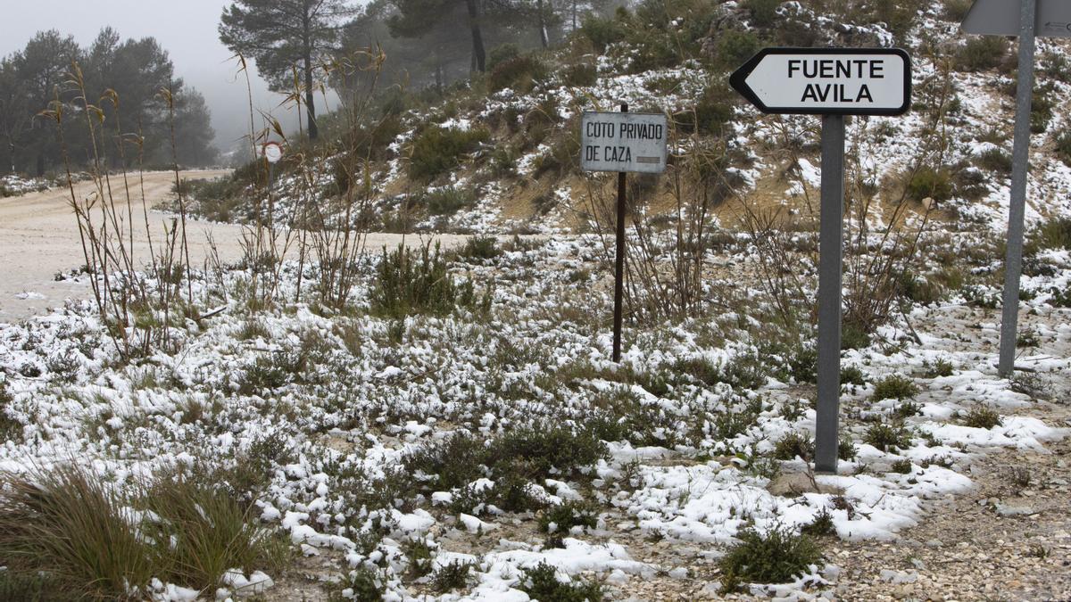 En el Alto de la Rosa (Enguera)  también cuajó la nieve