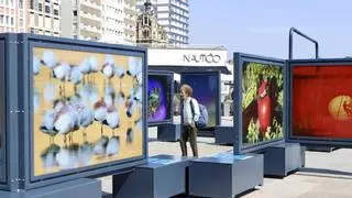 Un viaje de 42 instantáneas de prestigiosos fotógrafos de National Geographic: así es la exposición "Colores del mundo" que se puede visitar en Gijón en plena calle