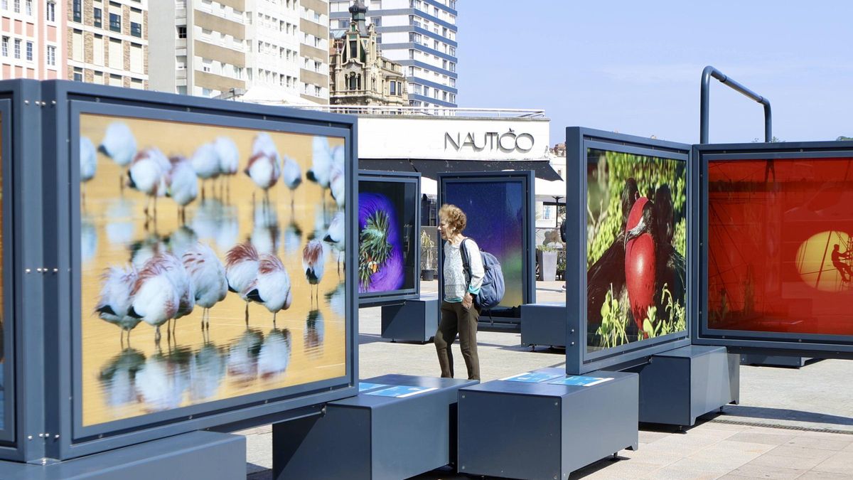 Exposición "Colores del mundo" en Gijón en El Náutico