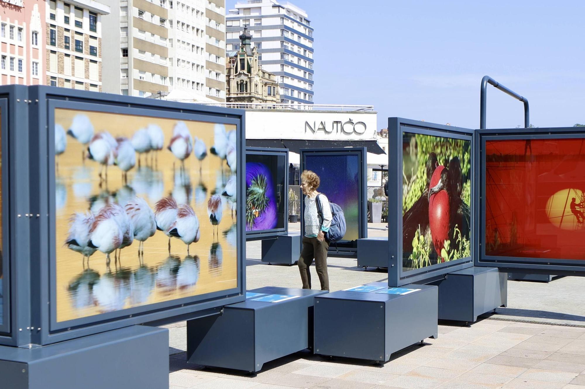 Exposición &quot;Colores del mundo&quot; en Gijón en El Náutico