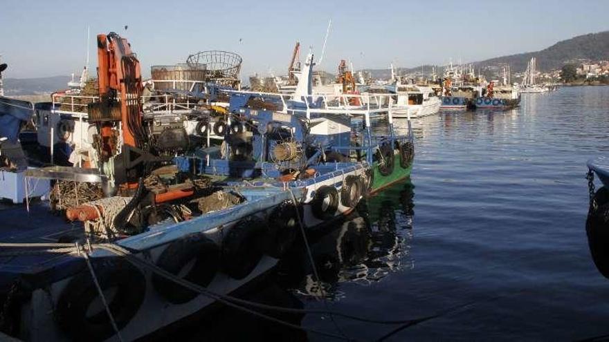 Barcos bateeiros amarrados, ayer, en el puerto de Bueu. // S. Álvarez