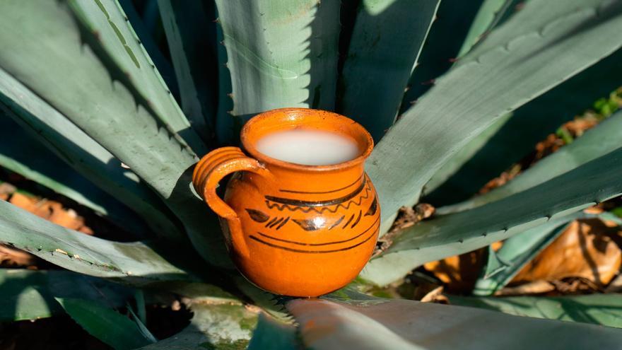 Así es la bebida mexicana que tiene 1.000 años y unos beneficios nutricionales únicos