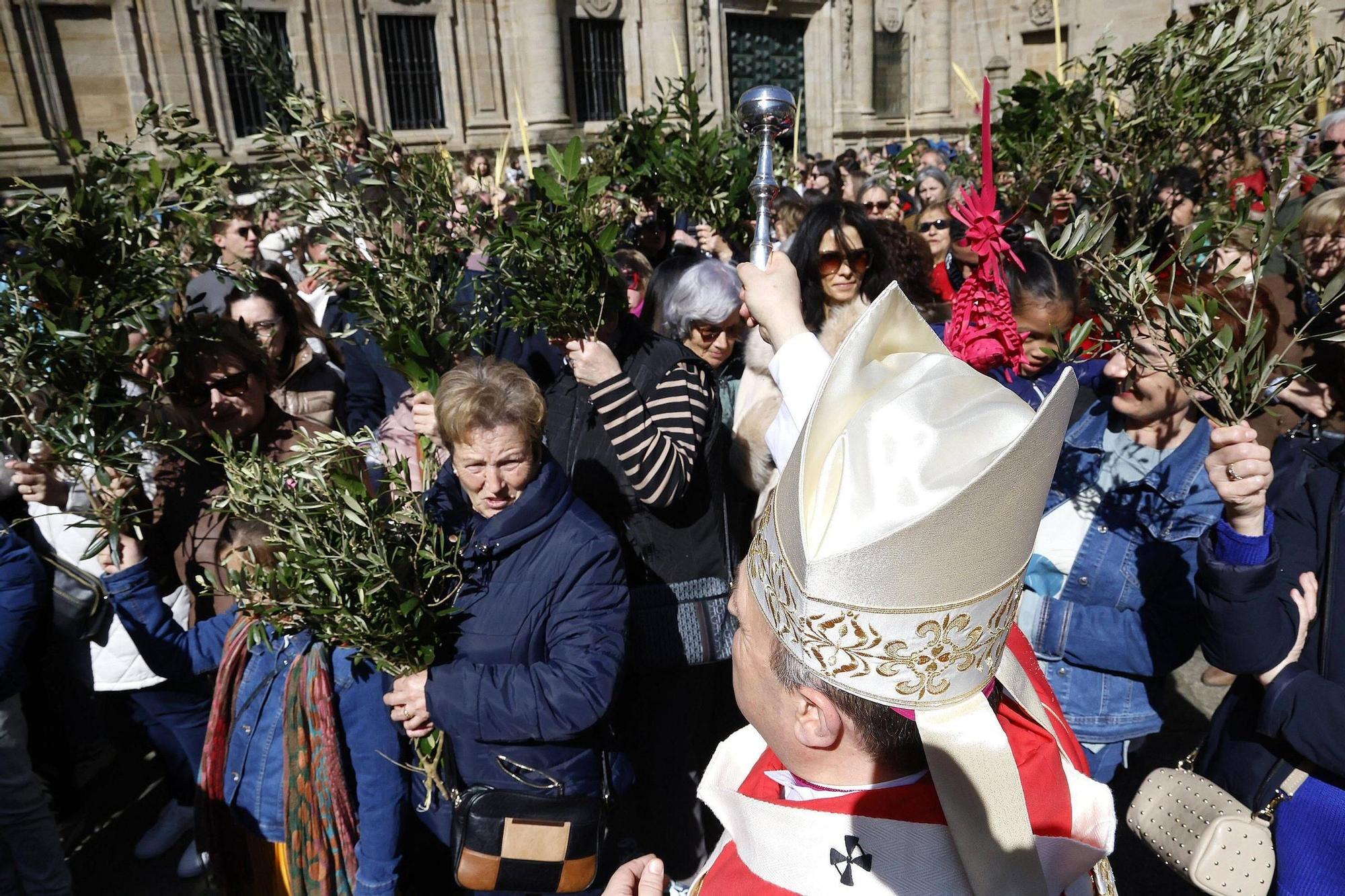 Procesión de la Borriquita y bendición de palmas en el Domingo de Ramos