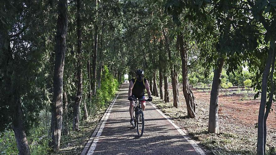 Un ciclista pasa por un tramo de la ruta junto a una arboleda.  | F. CALABUIG