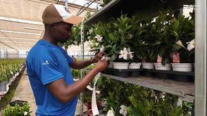 El Tema del Diumenge aborda la regularització d’immigrants