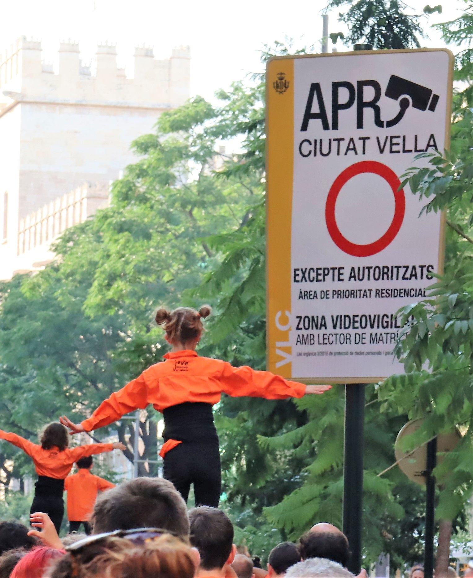 Espectacular exhibición de "Muixeranga" en las calles de València