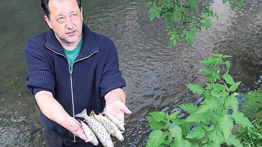 Un miembro de Vaipolorío con varios ejemplares de truchas muertas recogidas en el río.  // Gustavo Santos