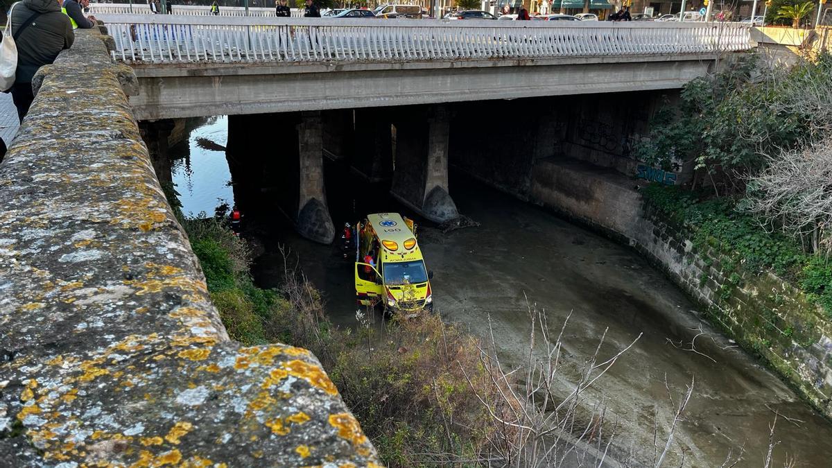 Una ambulancia atiende al hombre malherido bajo el puente de es Fortí.