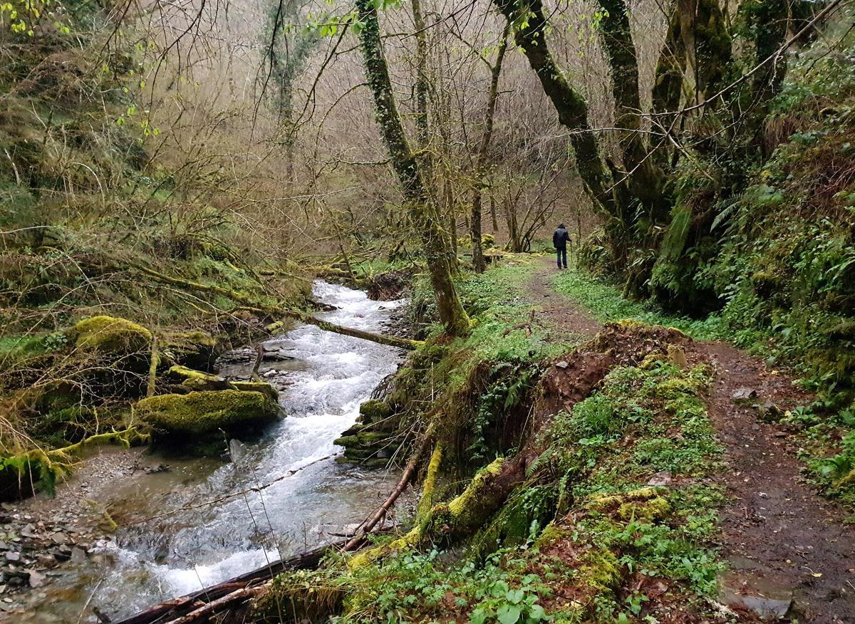 Seoane do Courel (Folgoso do Courel, Lugo). Sierra de Caurel (O Courel), con bosques (montes) de árboles. Y ruta circular del Río Pequeno