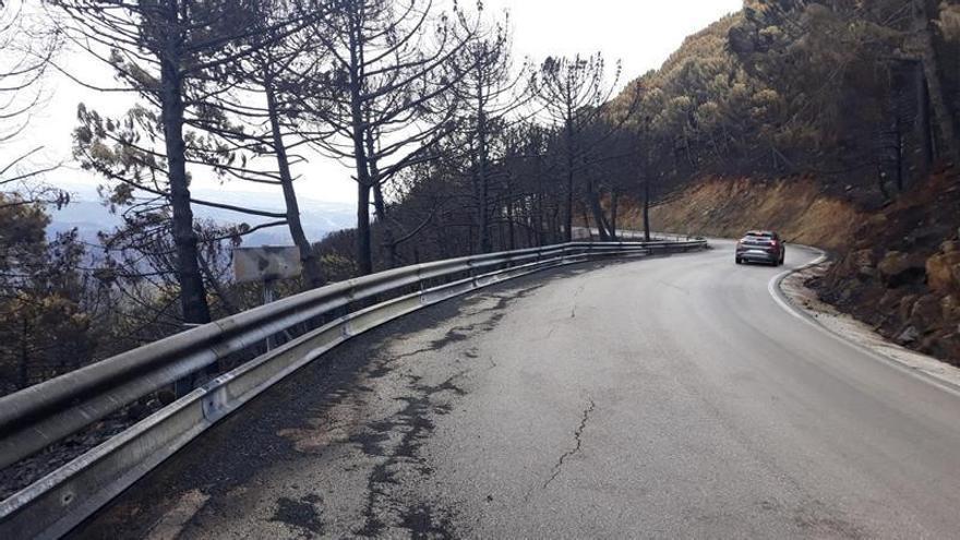 La Diputación dedica 400.000 euros a la mejora del camino a Los Reales de Sierra Bermeja