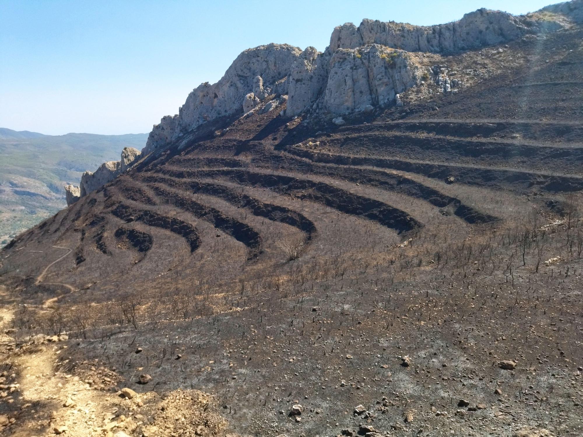 Una ladera abancalada que ha quedado carbonizada