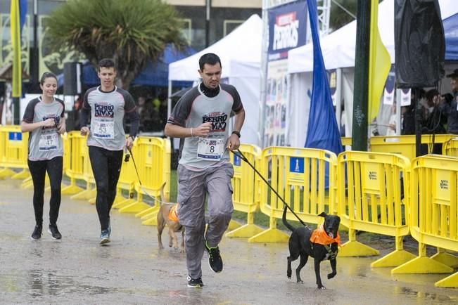 PRIMERA CARRERA SOLIDARIA PERRO-AMO