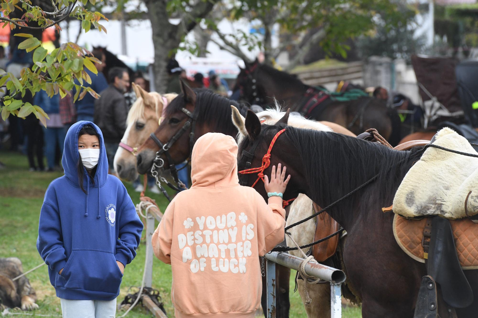 Feira das flores de Vilarmaoir