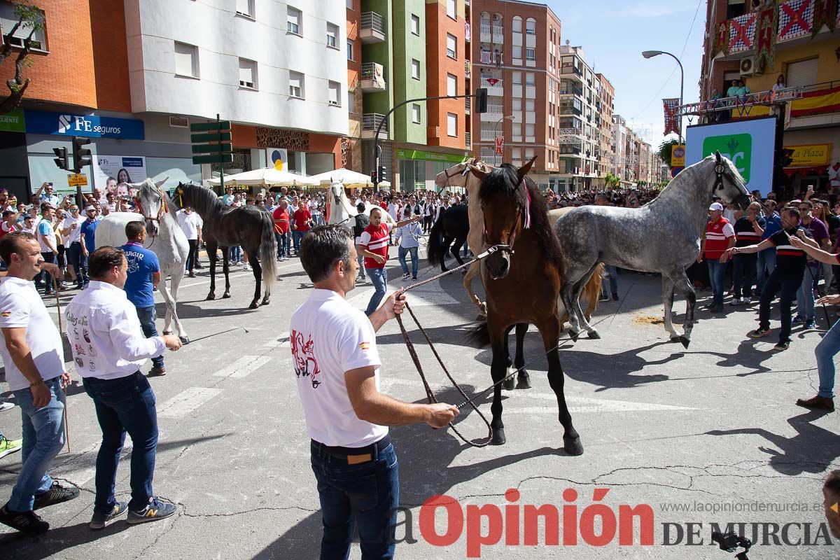 Pasacalles caballos del vino al hoyo