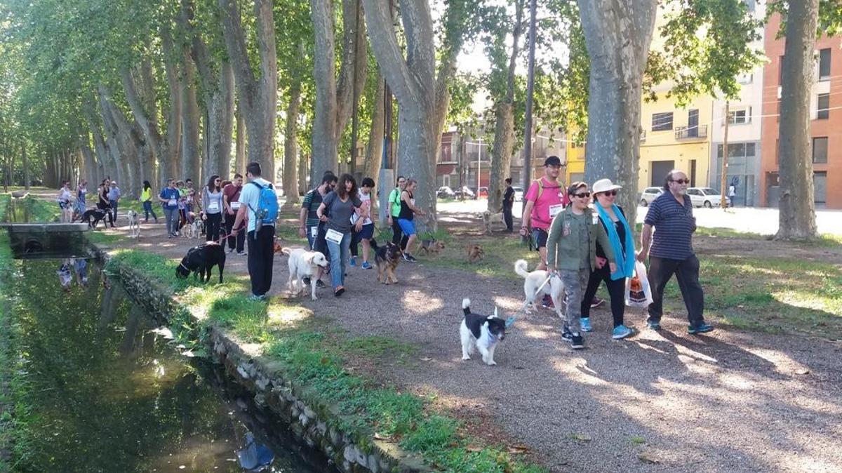 I Marxa Canina Solidària I Marxa Canina Solidària