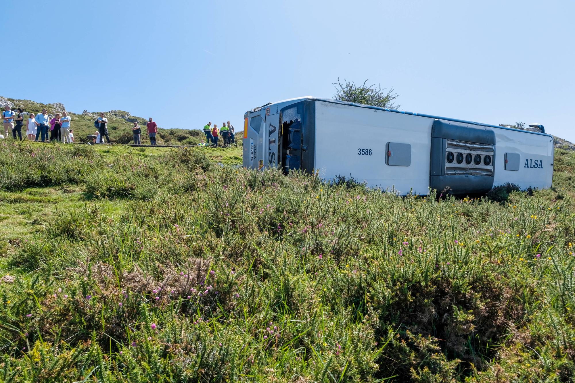 Grave accidente en Covadonga al despeñarse un autobús con niños que iba a los Lagos