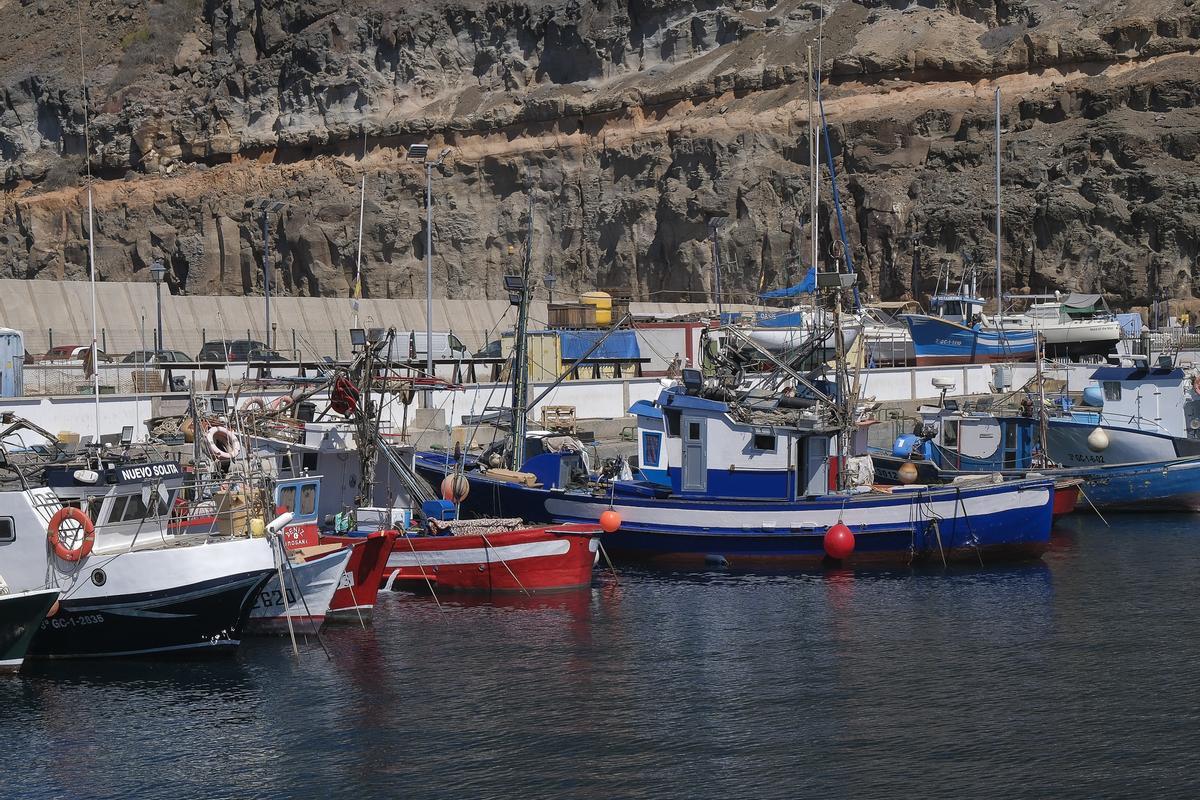Embarcaciones pesqueras en el puerto de Mogán.