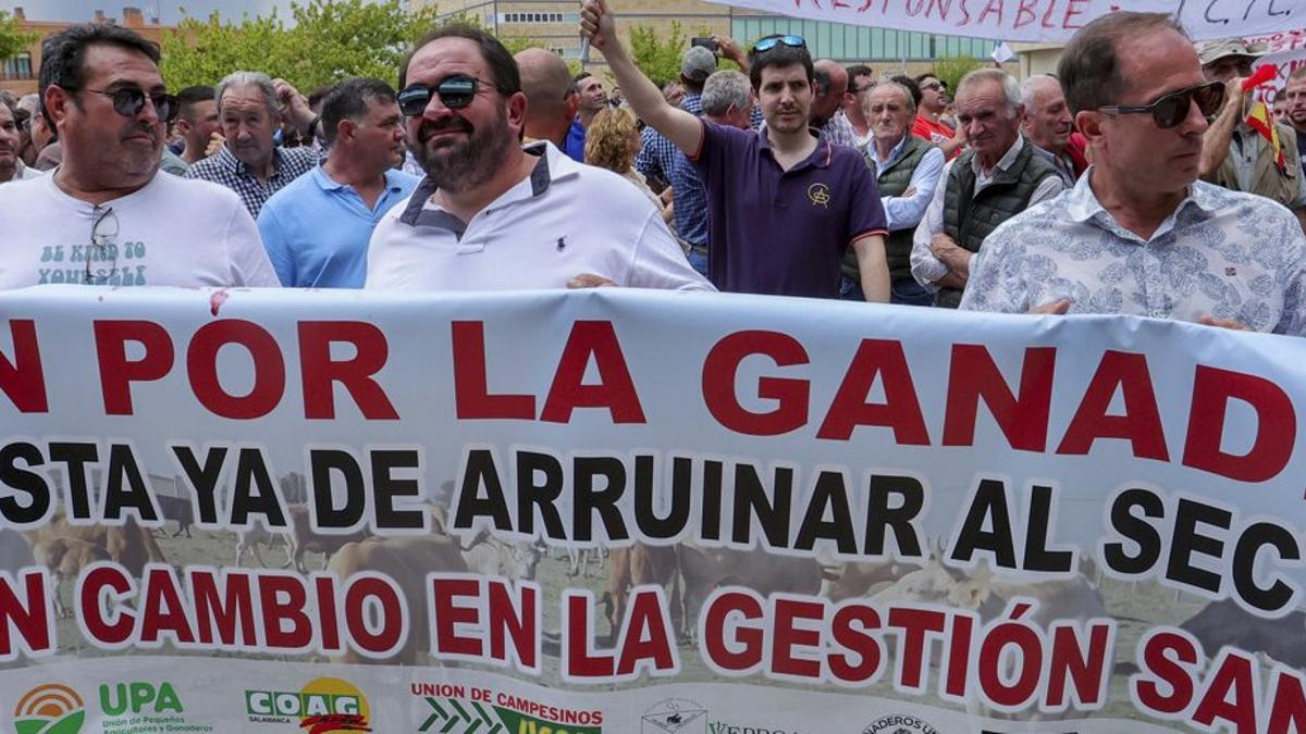Manifestación de ganaderos en Salamanca en protesta por los controles sanitarios del ganado bovino.