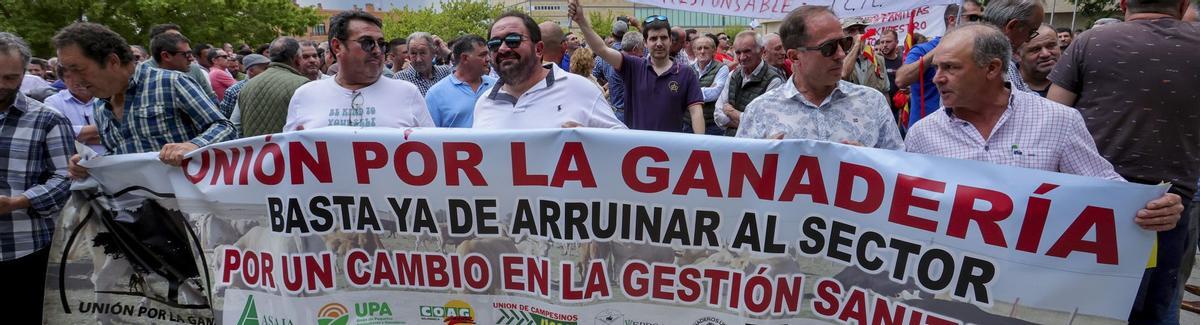 Manifestación de ganaderos en Salamanca en protesta por los controles sanitarios del ganado bovino.