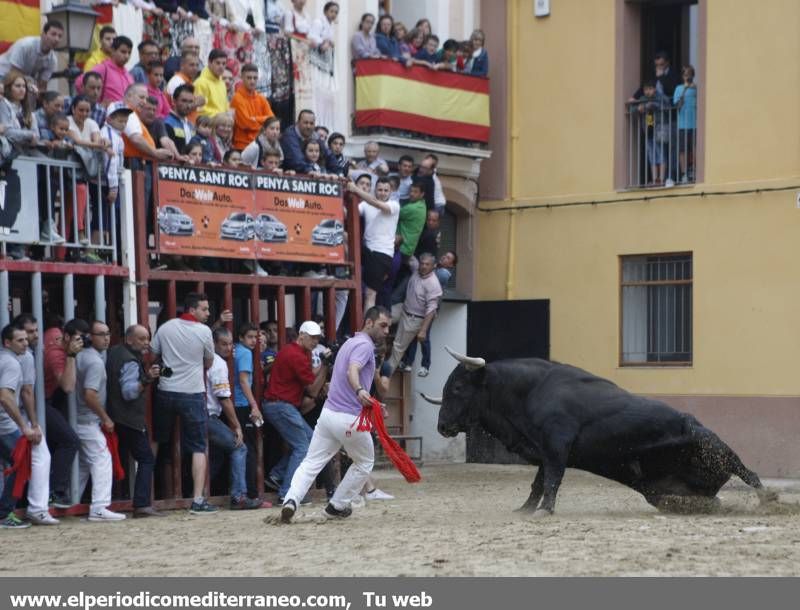 GALERÍA DE FOTOS -- Almassora late con toros bravos pese a la lluvia