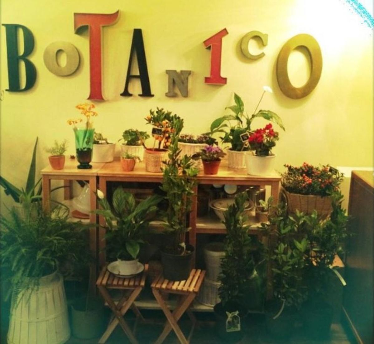 Café Botánico
