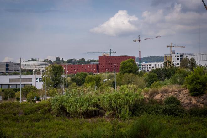 El Parc de l’Alba de Cerdanyola aspira a convertirse en motor económico de Catalunya con 30.000 nuevos puestos de trabajo