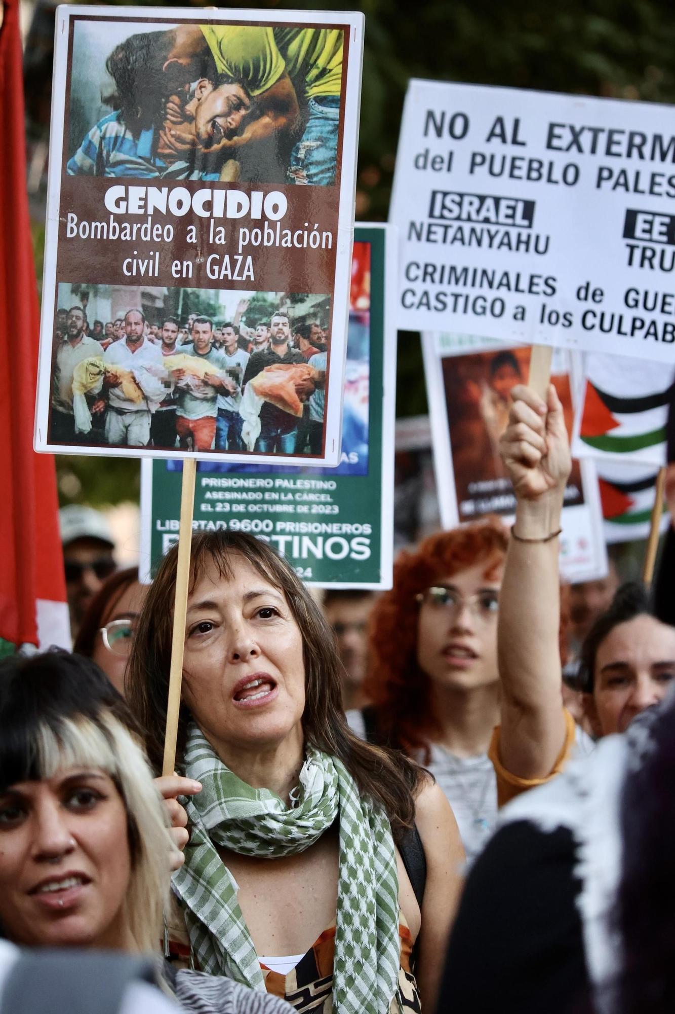 Así se vivió la concentración en apoyo a Palestina frente a la Delegación del Gobierno