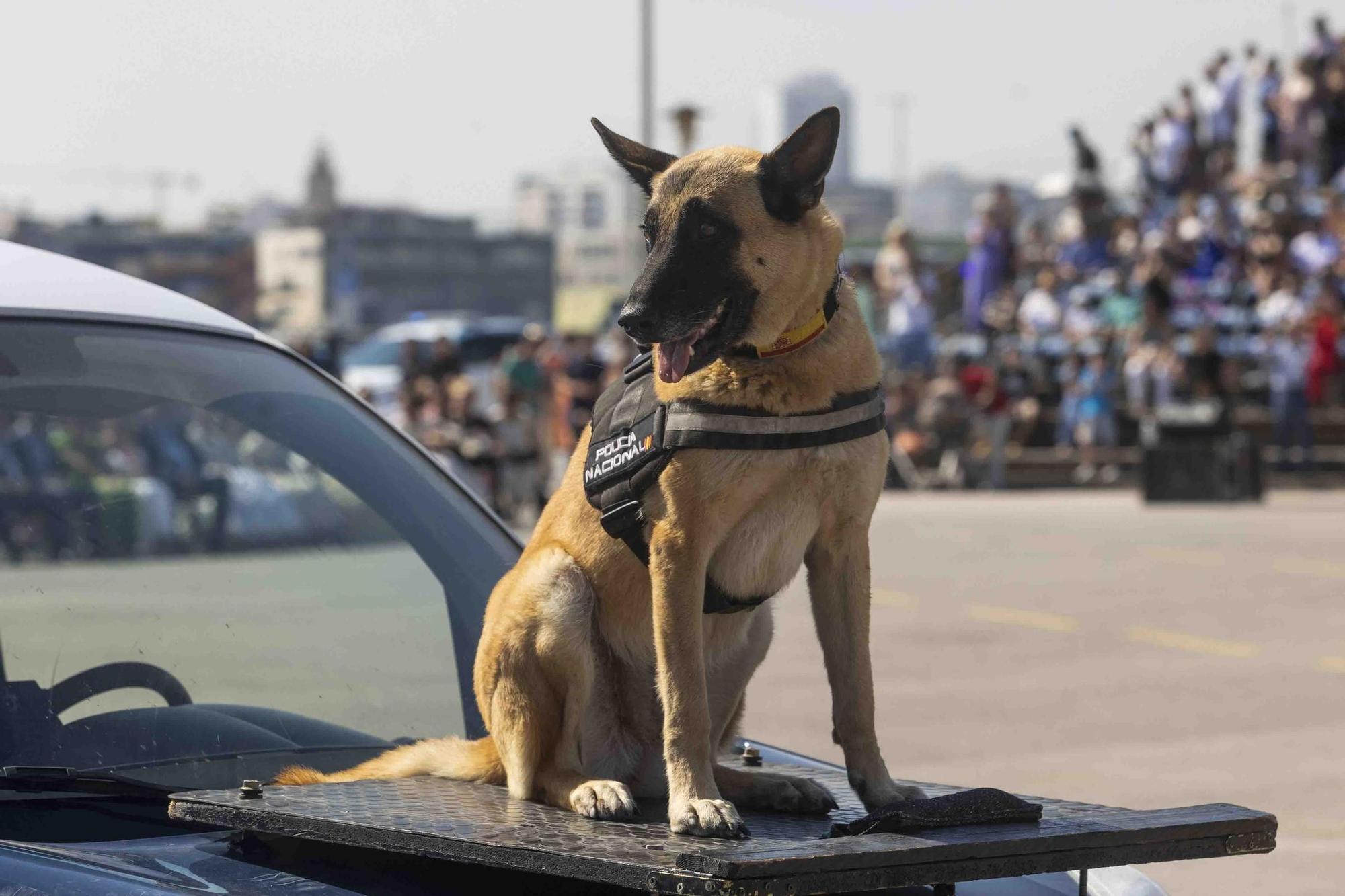 Actos de la festividad de la Policía Nacional