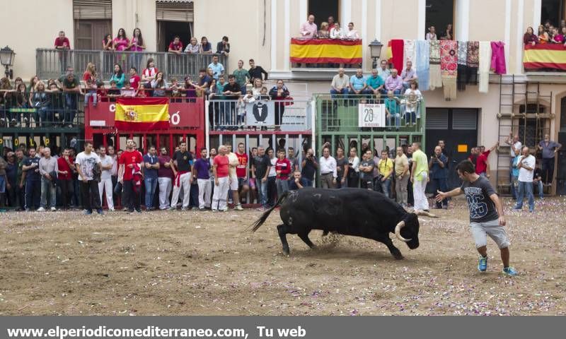 GALERÍA DE FOTOS -- Almassora se vuelca con las fiestas del Roser