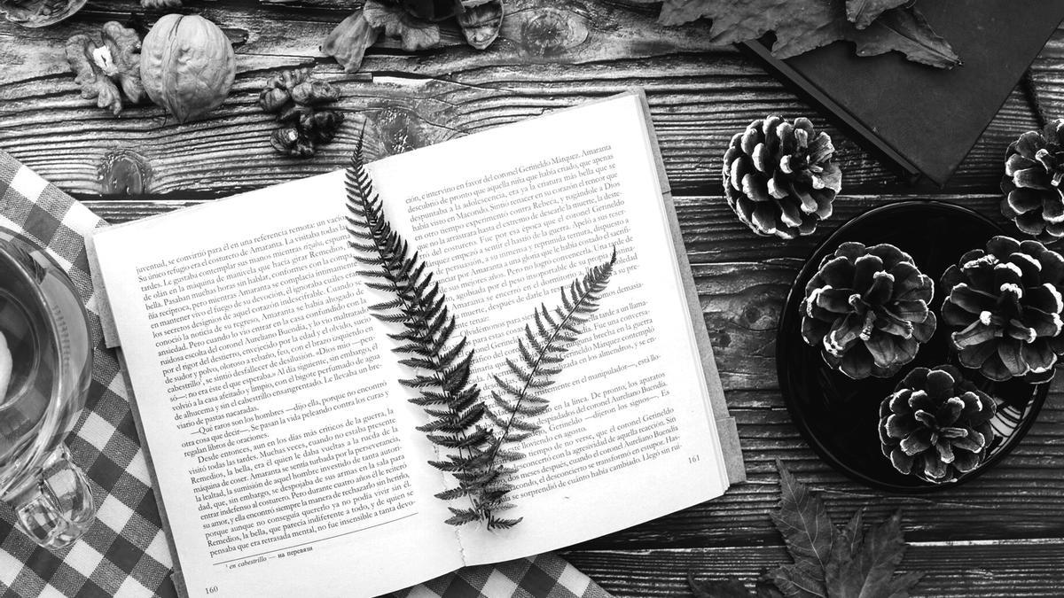 Los libros como huida sanadora