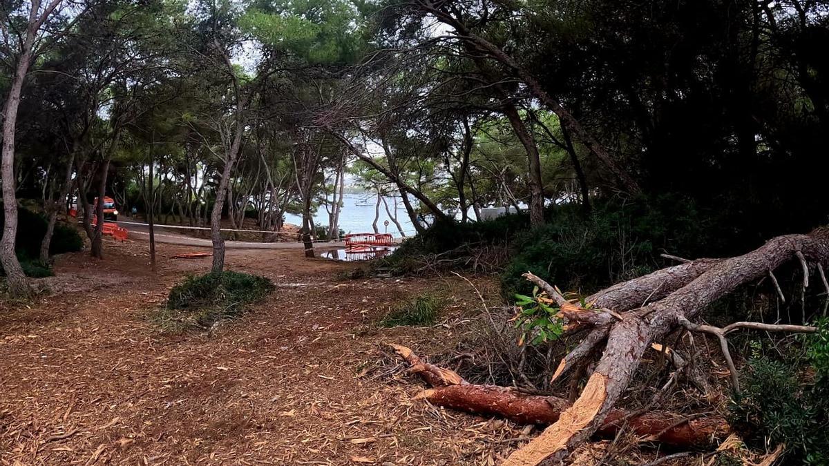 Imagen difundida por Salvem Portocolom para denunciar la actuación del Ayuntamiento en la zona.