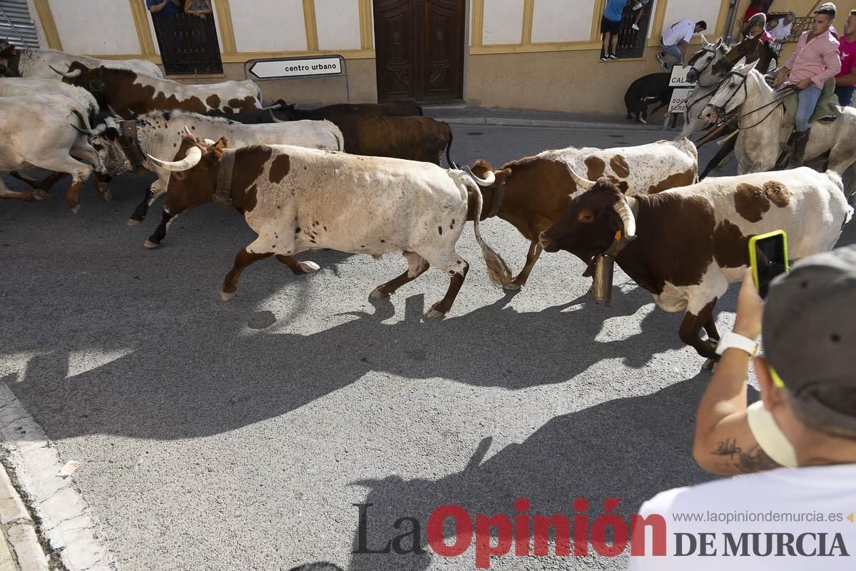 Cuarto encierro en las Fiestas de Moratalla