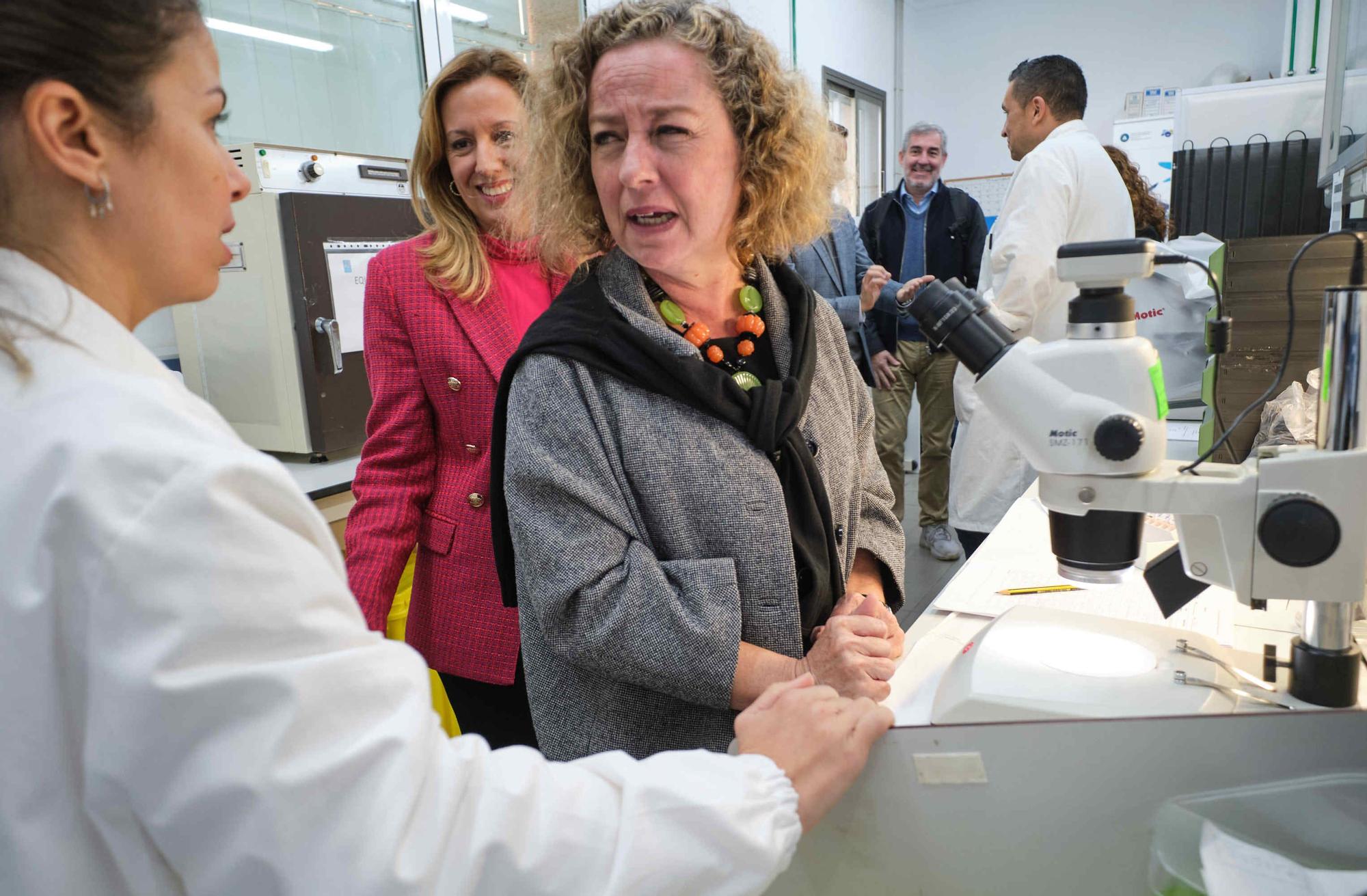 Fernando Clavijo visita el Instituto de Enfermedades Tropicales