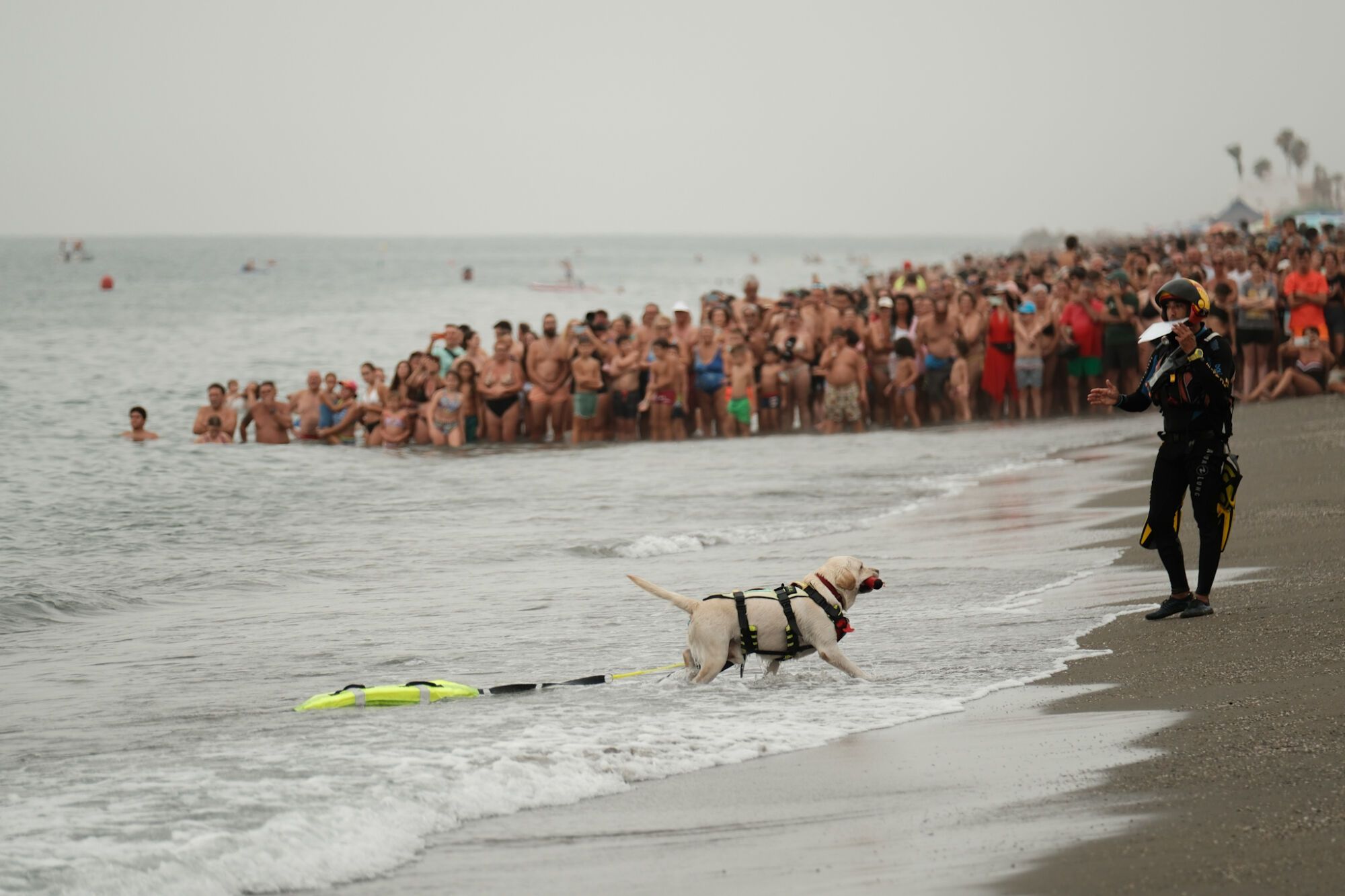 Última jornada del X Festival Aéreo Internacional de Torre del Mar 