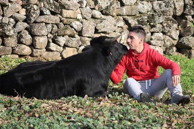 Galería | Muere 'Elegante' en Cáceres, el manso toro bravo de Luis Juanela