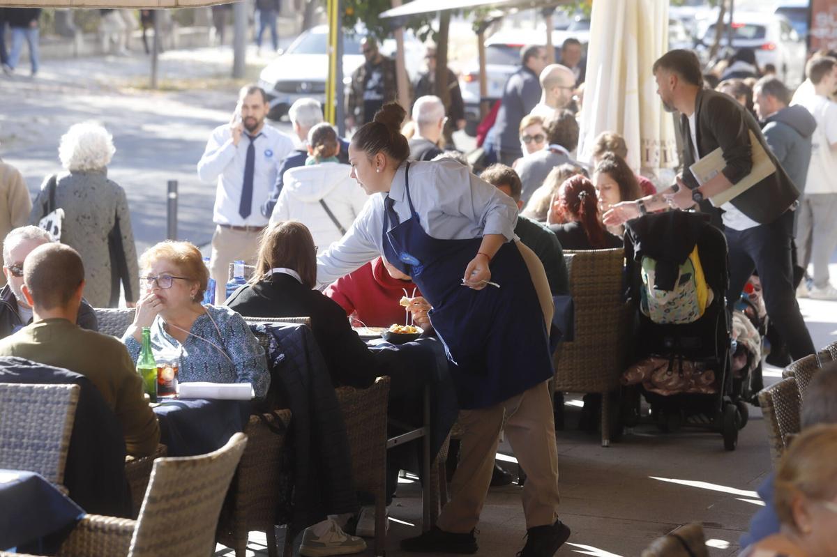 Córdoba 
Puente de la Constitución Inmaculada turismo hostelería bares restaurantes terrazas Trabajador trabajadores empleo camarero