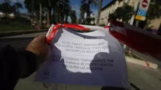 Palma cierra varios parques y el paseo Sagrera por la alerta naranja