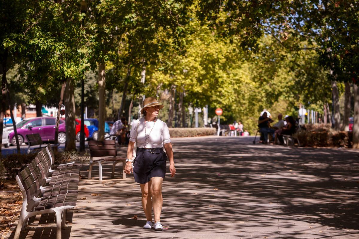 Avenida Gran Vía Parque, futuras reformas en las grandes avenidas de Córdoba