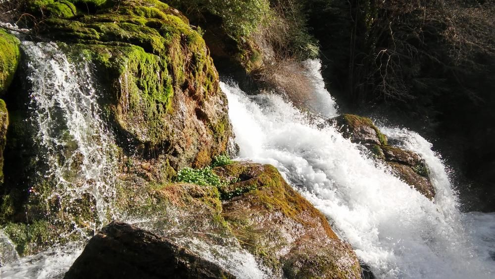 Naixement. Amb tota la força de la natura, les fonts on neix el riu Llobregat brollen directament dels cingles.