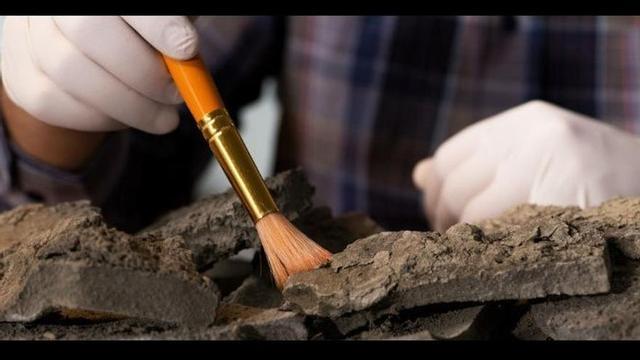 Campo de voluntariado de arqueología 'Obradors' en Manises
