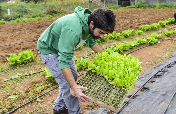 Visita escolar a la Granja Agricola del Cabildo