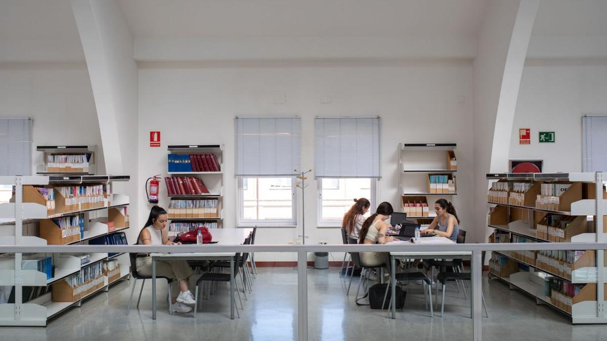 Estudiantes, en la biblioteca del Campus Viriato de Zamora.