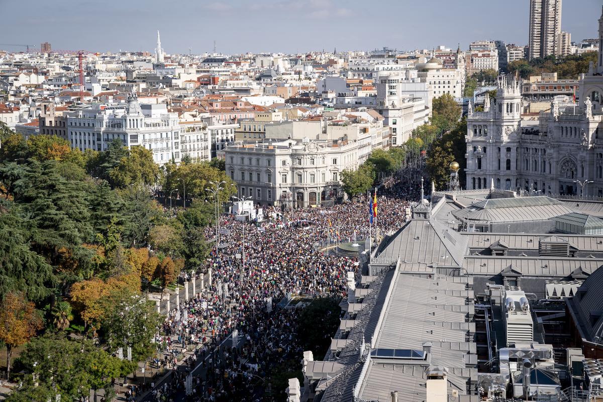 Manifestación por la sanidad pública en Madrid.