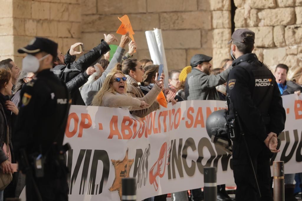 Más de 300 personas se concentran ante el Palacio de la Almudaina al grito de 'libertad' y 'Armengol dimisión'